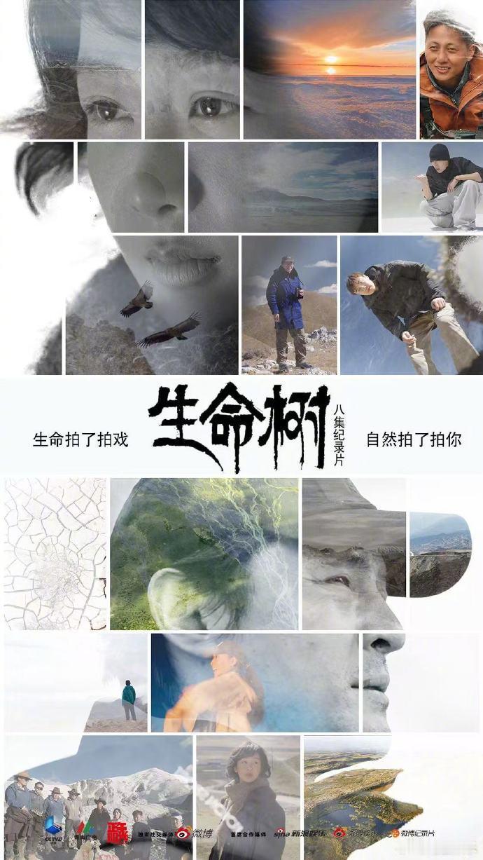 生命树纪录片CCTV9播出生命树纪录片2月7日开播 生命树纪录片CCTV9播出，