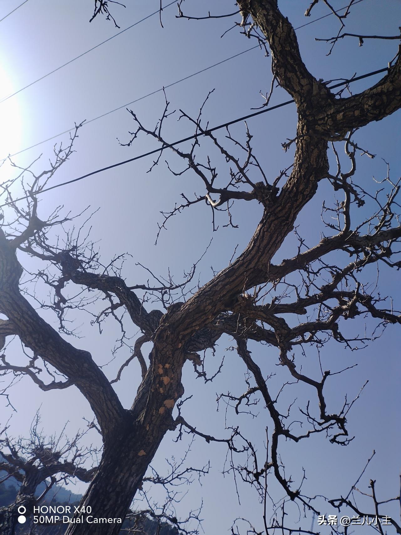 老公今天下午回来了，接到他的电话时候，我正在整理电脑资料。他说他还在路上。让我给