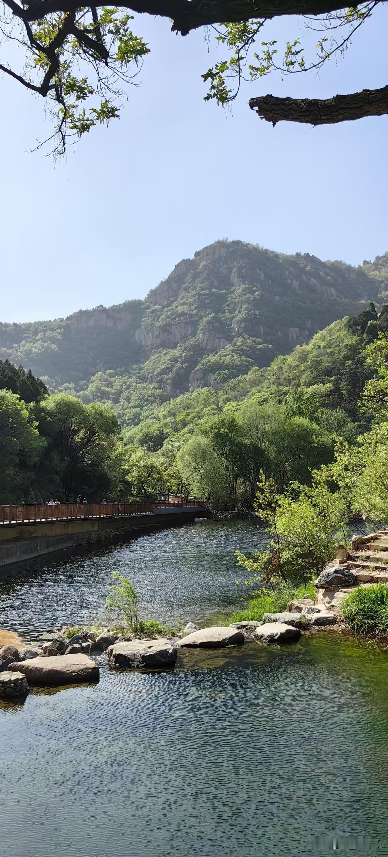 4月11日至4月30日，泰山彩石溪有“泰麓春来时·花约彩石溪”春季赏花季免费活动