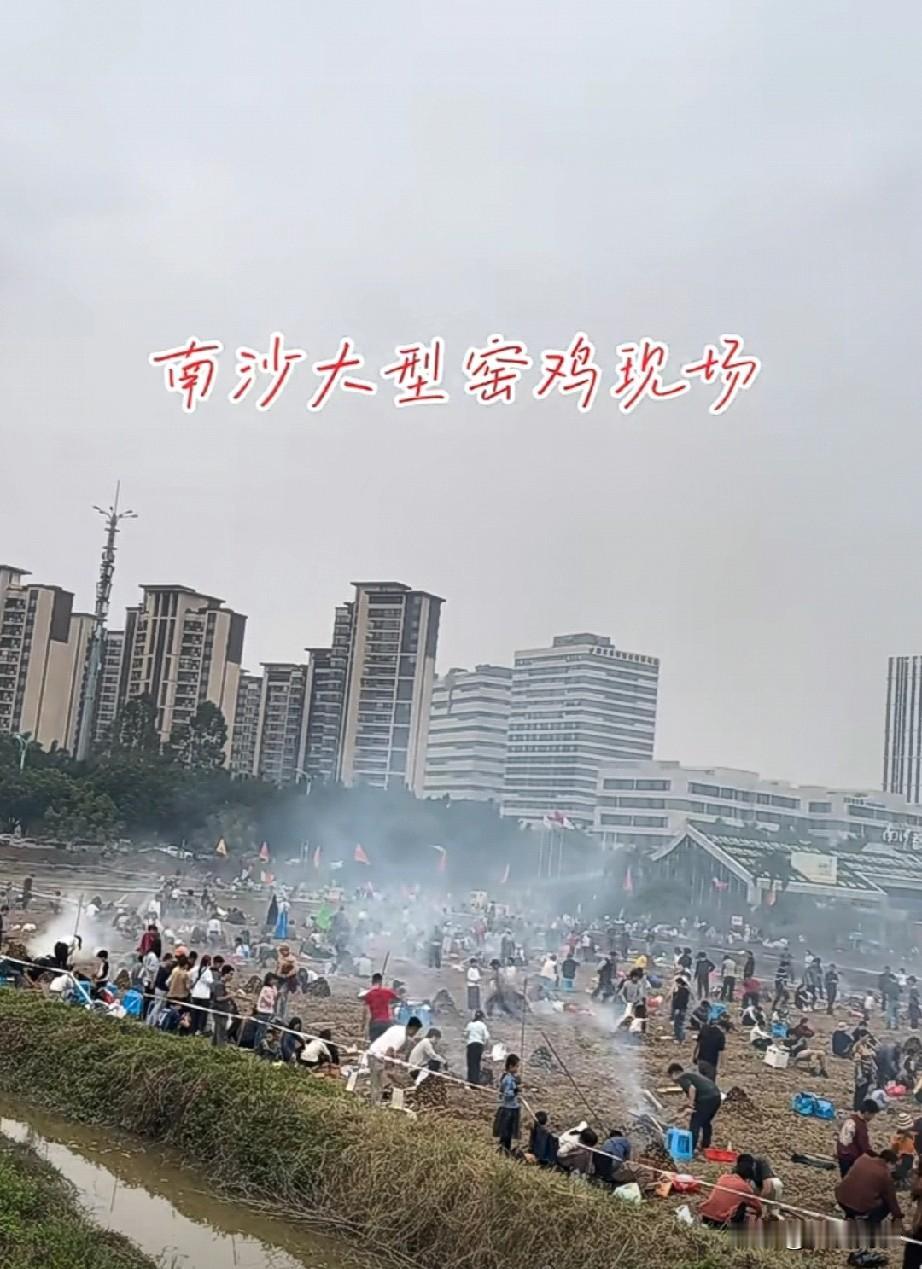 南沙新流量密码！全民窑鸡盛况，元旦你有没有预约上呢？