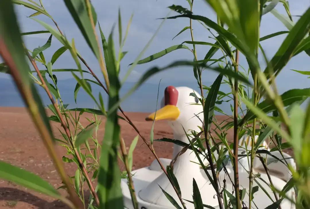 刷到个帖子，一个普通打工人说自己以前被领导一句话折磨到凌晨三点，把同事一个白眼反