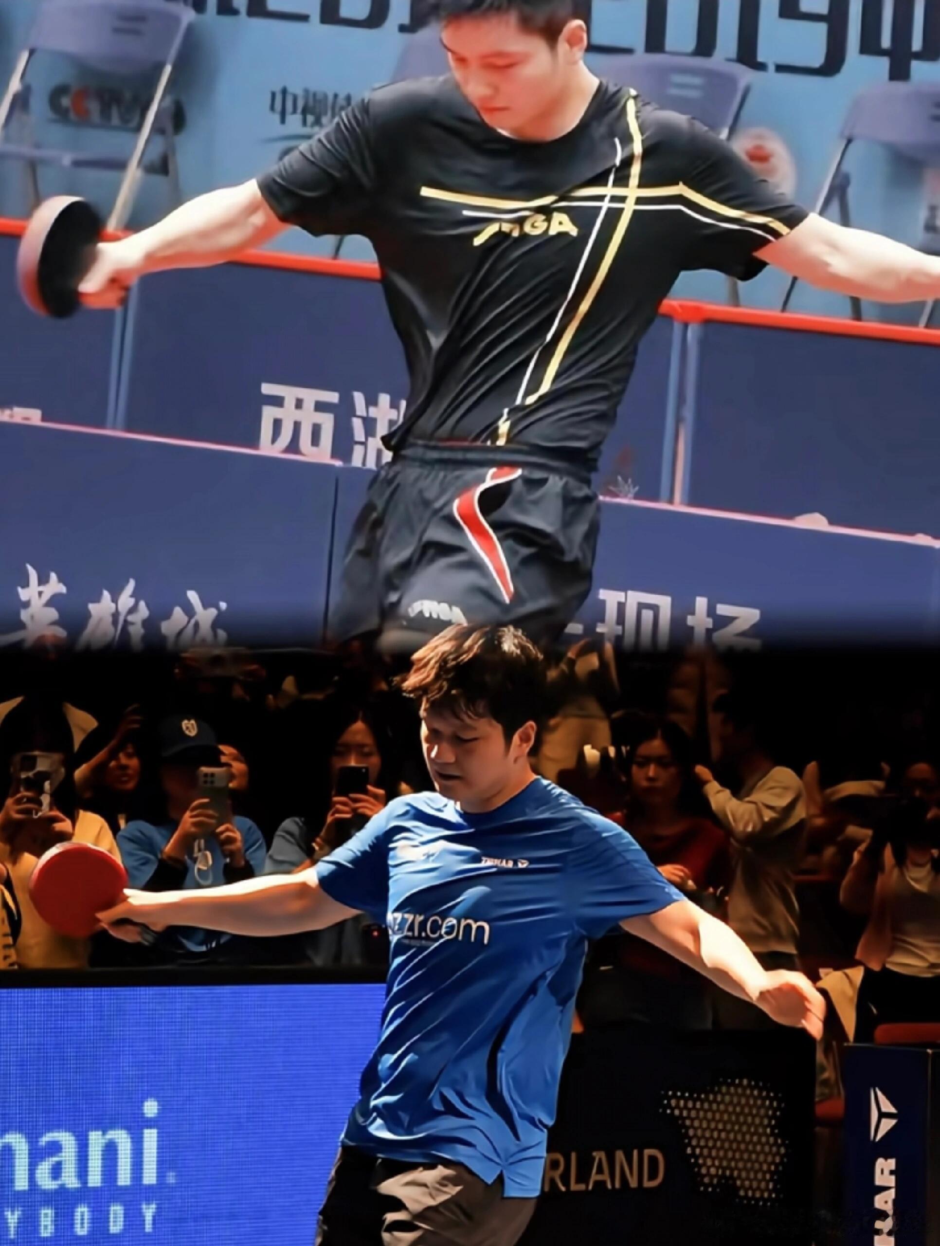 樊振东一切都没变 