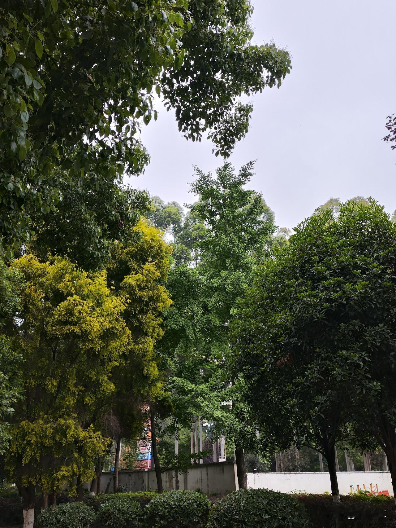 人生通透，莫过于读懂这四句人间至理：穷在犟和杠，福在忍和让，富在谋和思，毁在怒和