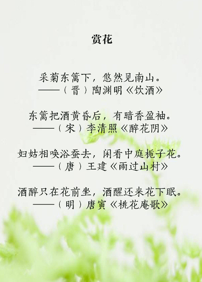 读书、出游、赏月、小酌...你所憧憬的慢生活，早就被古人写进诗词里了。