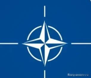 有美媒分析，如果美国总统唐纳德·特朗普停止美国对乌克兰的所有支持，跨大西洋联盟（