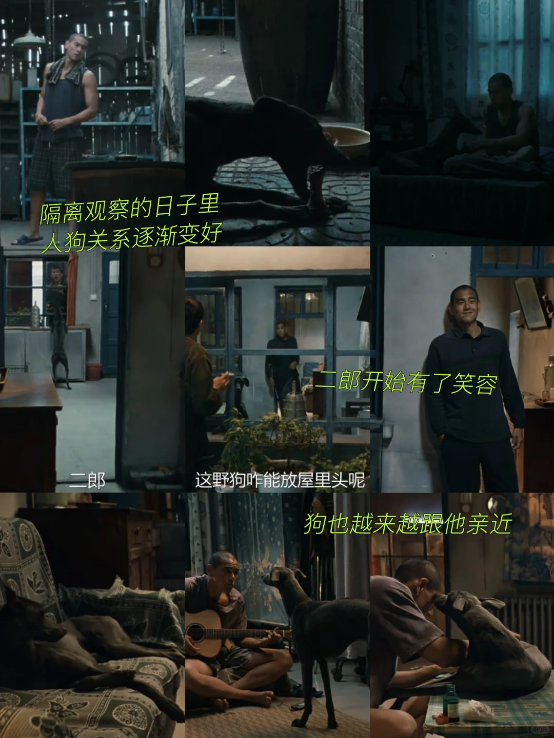 《狗阵》多处细节隐喻太绝了！但过程看得难受！