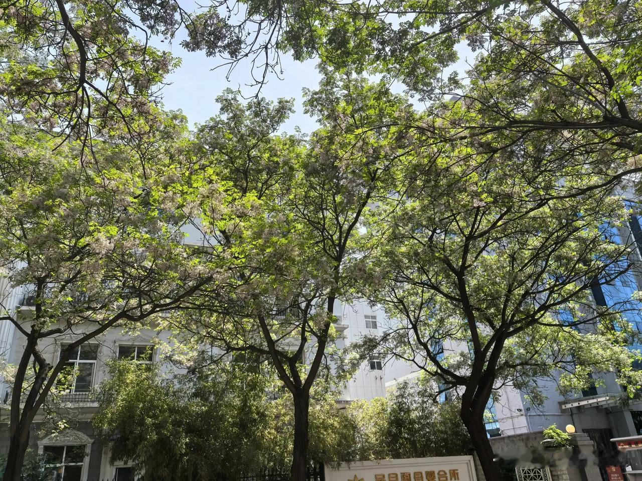 我老公说，他每次要去我公婆那里时，都要在心里劝自己，去了一定耐心点，不要发脾气，
