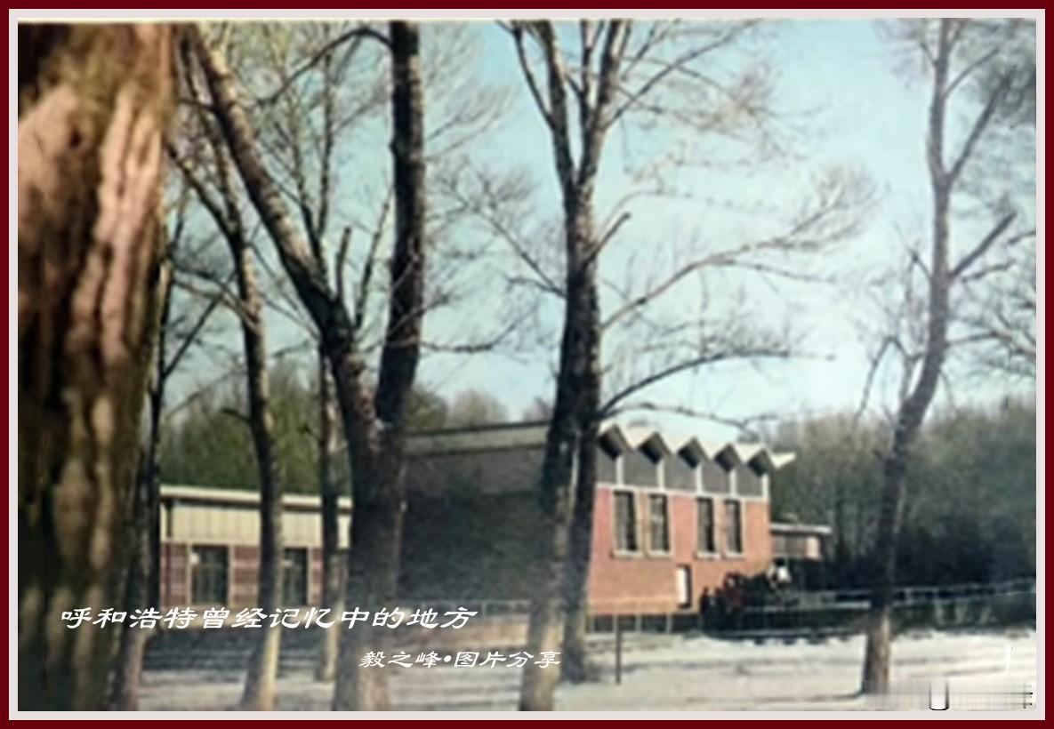 呼和浩特记忆中难得一见的旧照片
老呼市印象 这个地方的旧照片目前为止只找到这一张