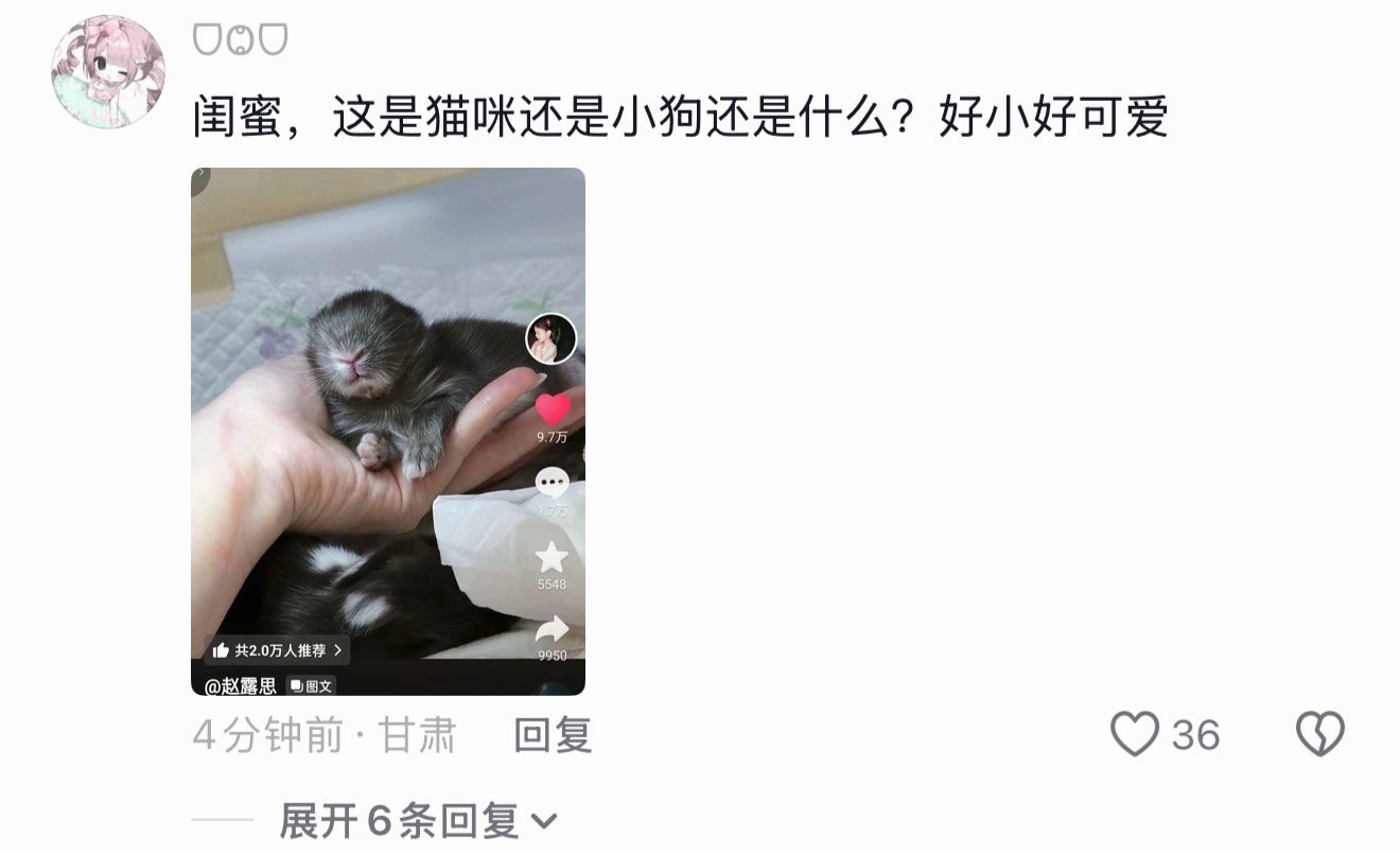 这条新抖很数据不错，图文发布一小时就五十几万赞了，小甜品趁热打铁来团建评论！刚好