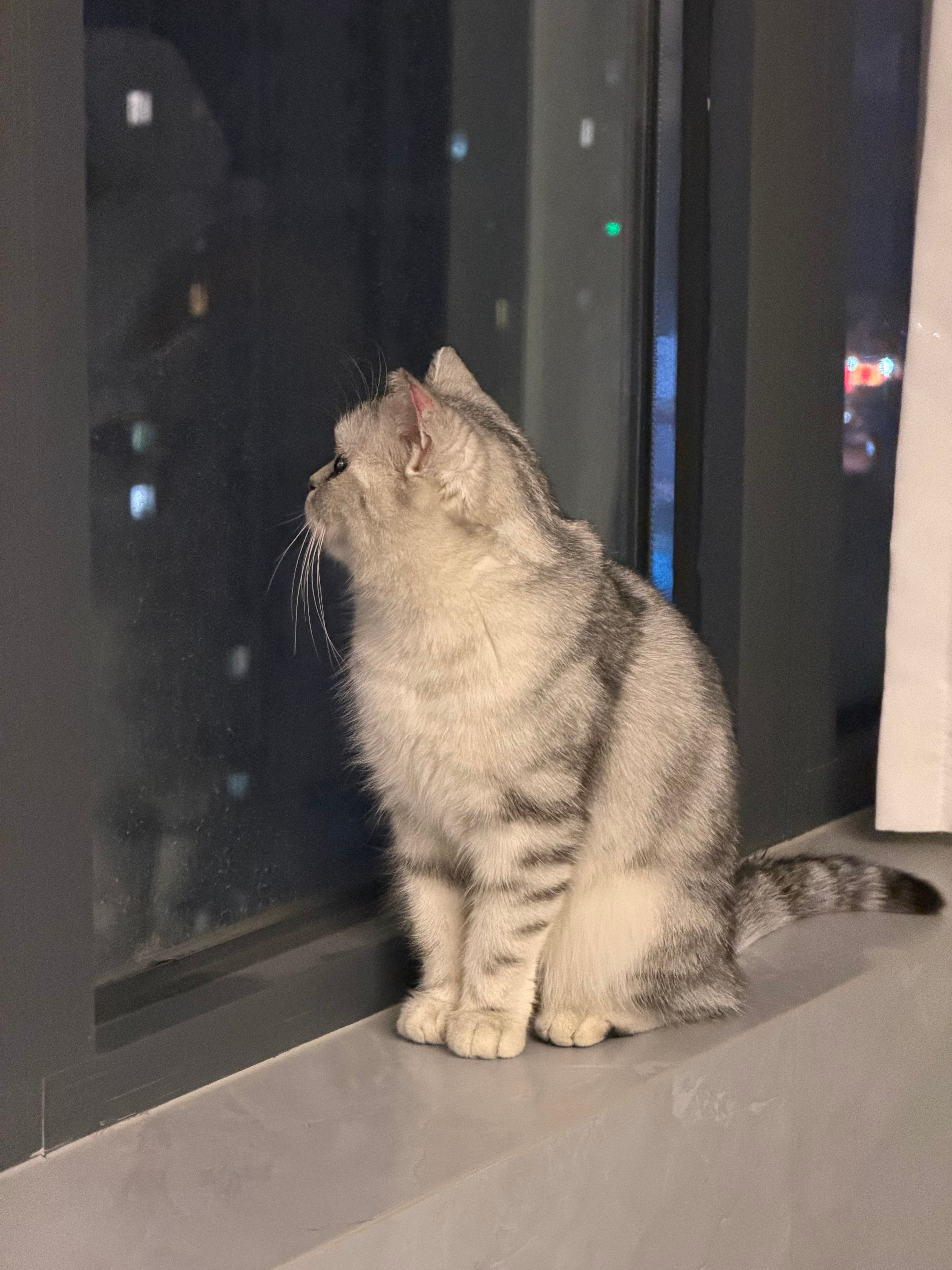 今天争取到了冰冰的抚养权，以后她就跟我一起过了，开启父女俩相依为命的生活 