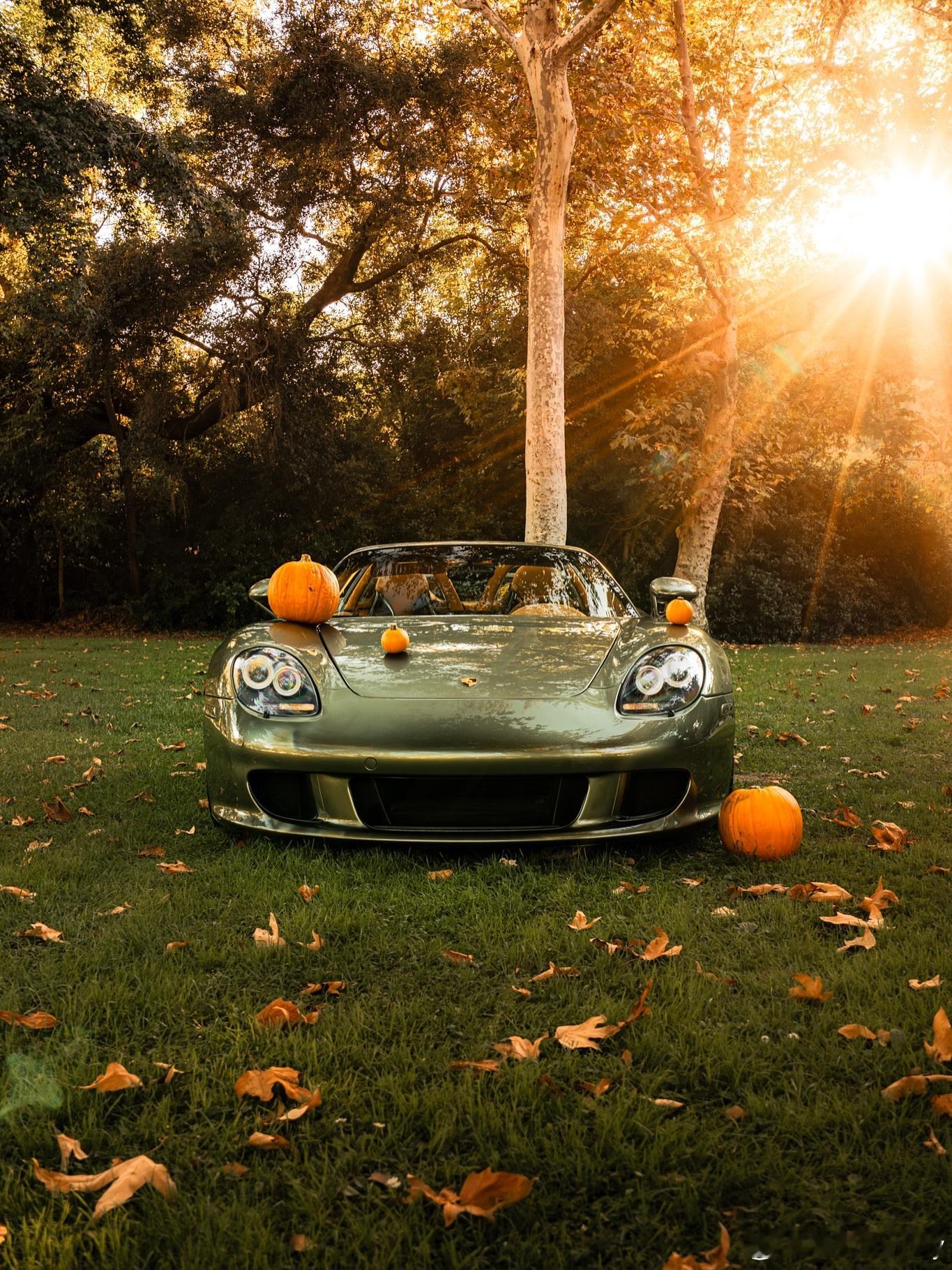 万圣节🎃 ​​​