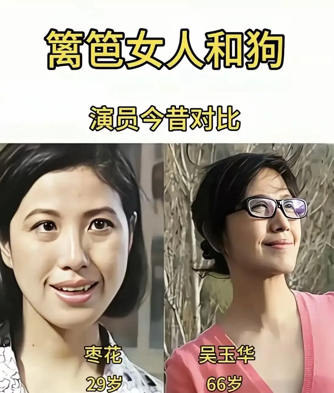 那些年追过的剧