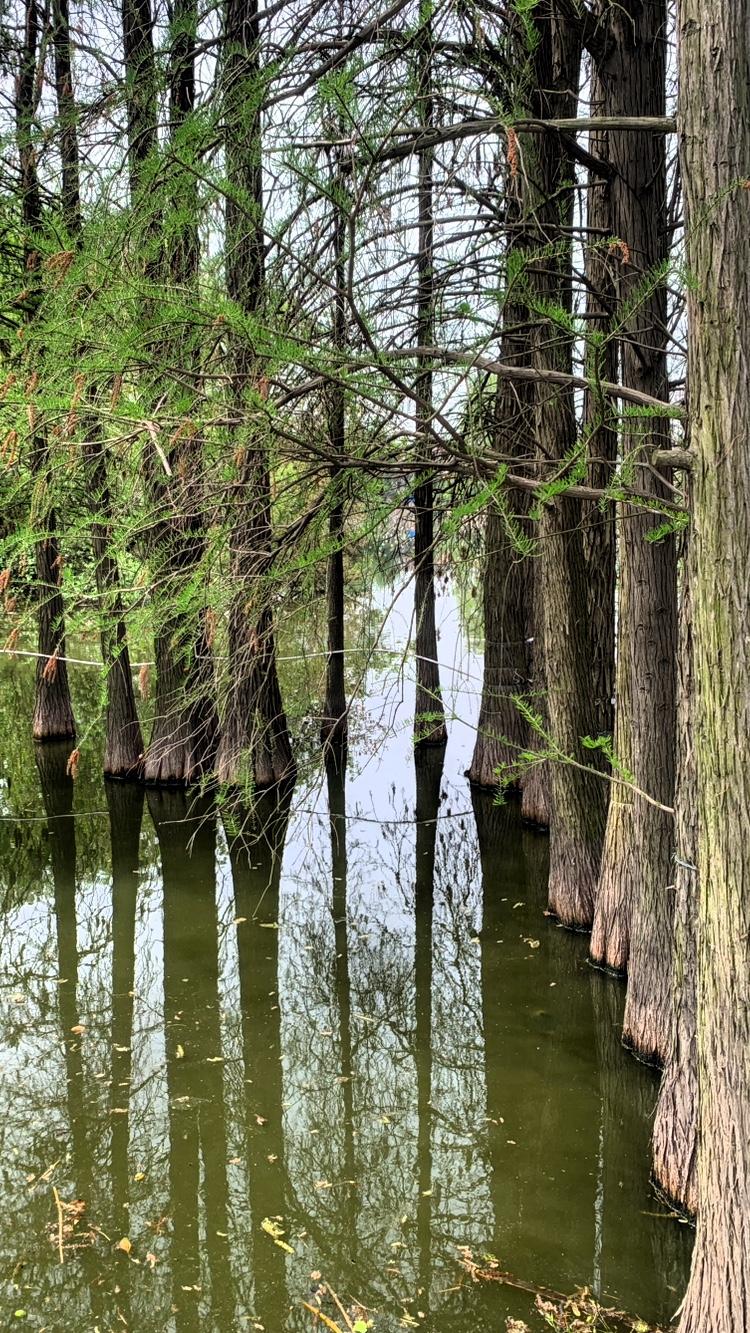 人啊，
好好的过日子，
都认为自己还活得挺潇洒的！
吃喝玩乐都开开心心的。
三五