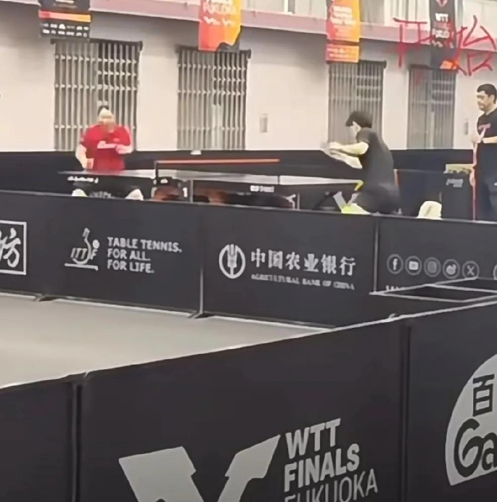 上训了，上训了，
看到训练场里的莎莎，
差点认错人，
幸亏对面是佳佳。
今天一起