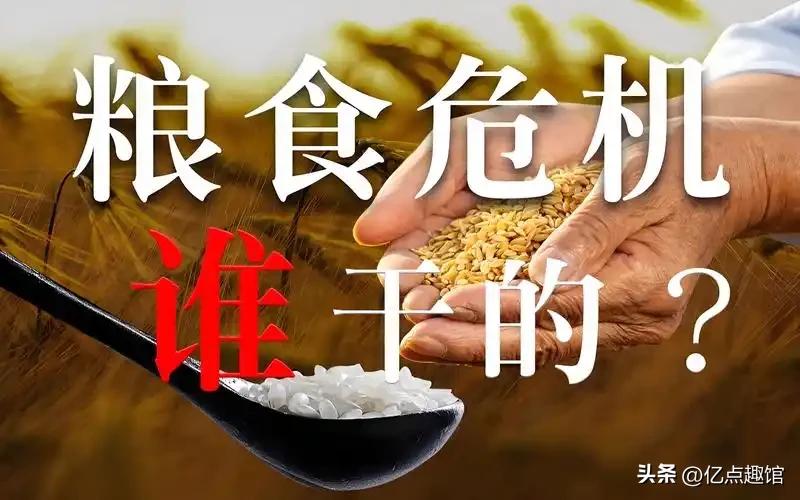 摩根大通刚放了个狠话：2027年，全球粮食危机可能爆发。

不是吓唬人，人家把五