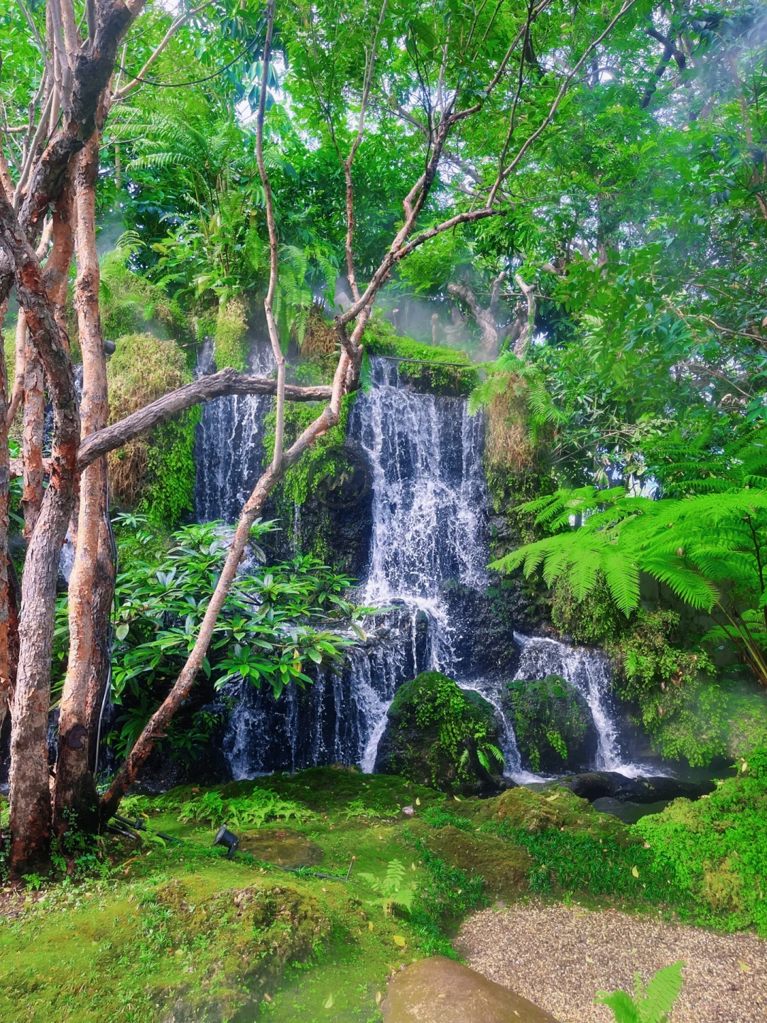 误入清迈绿野仙踪，清迈泰安逸了