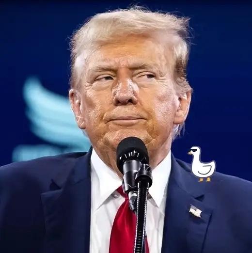 就在刚刚 ！
特朗普又被起诉
10月7日 ，美国伊利诺伊州和芝加哥市一起把特朗普