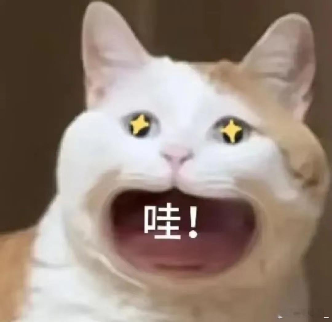 荔枝奶茶是独属于广东人的快乐真想急头白脸地和广东网友干杯奶茶 立秋的仪式感不一定