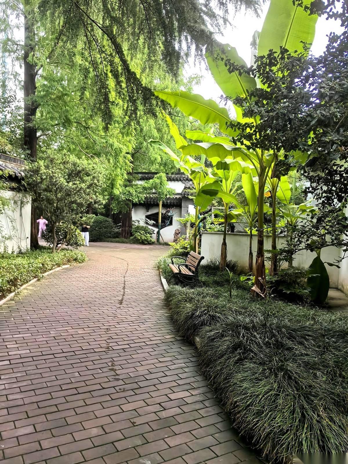 你半夜咳醒，以为是着了凉。你下楼梯膝盖发软，告诉自己是老了。你血压又高了，想着少
