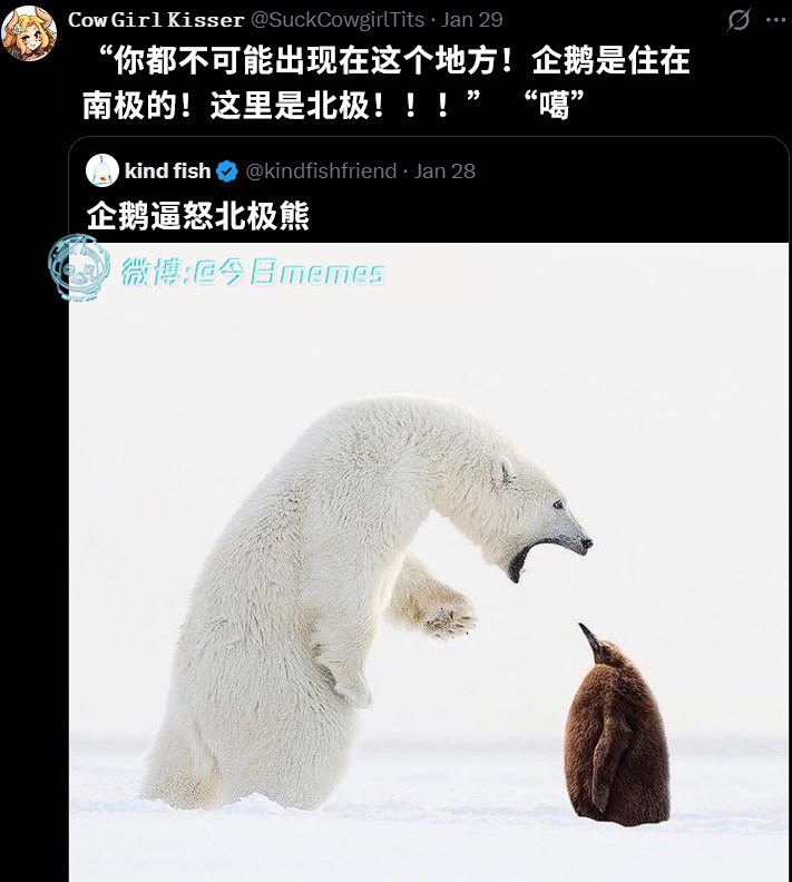 急了（9gag）今日meme今日memes