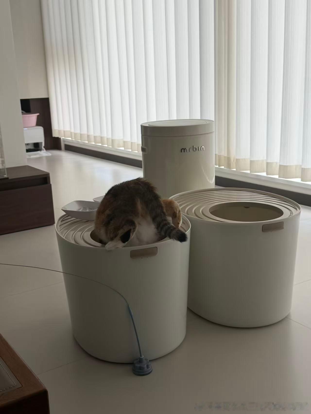 补了两个多小时的牙。那个电钻在嘴里倒腾两个小时。真的是从恐惧到紧张到放松到要睡了