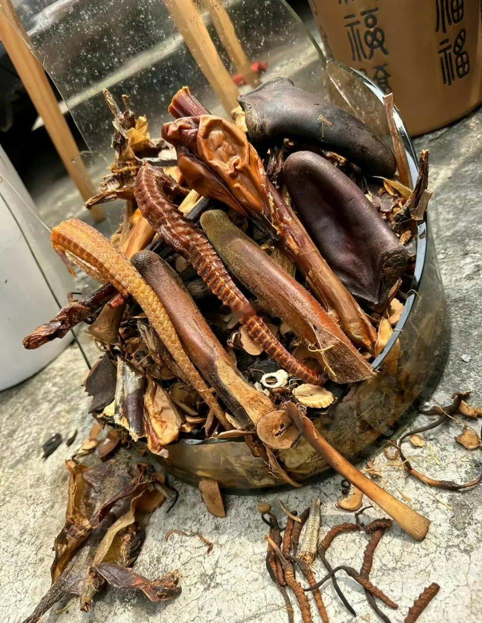 有网友发现，自己泡了三年的药酒中，原本以为的海马和鹿尾，竟然是用塑料制成的[傻眼