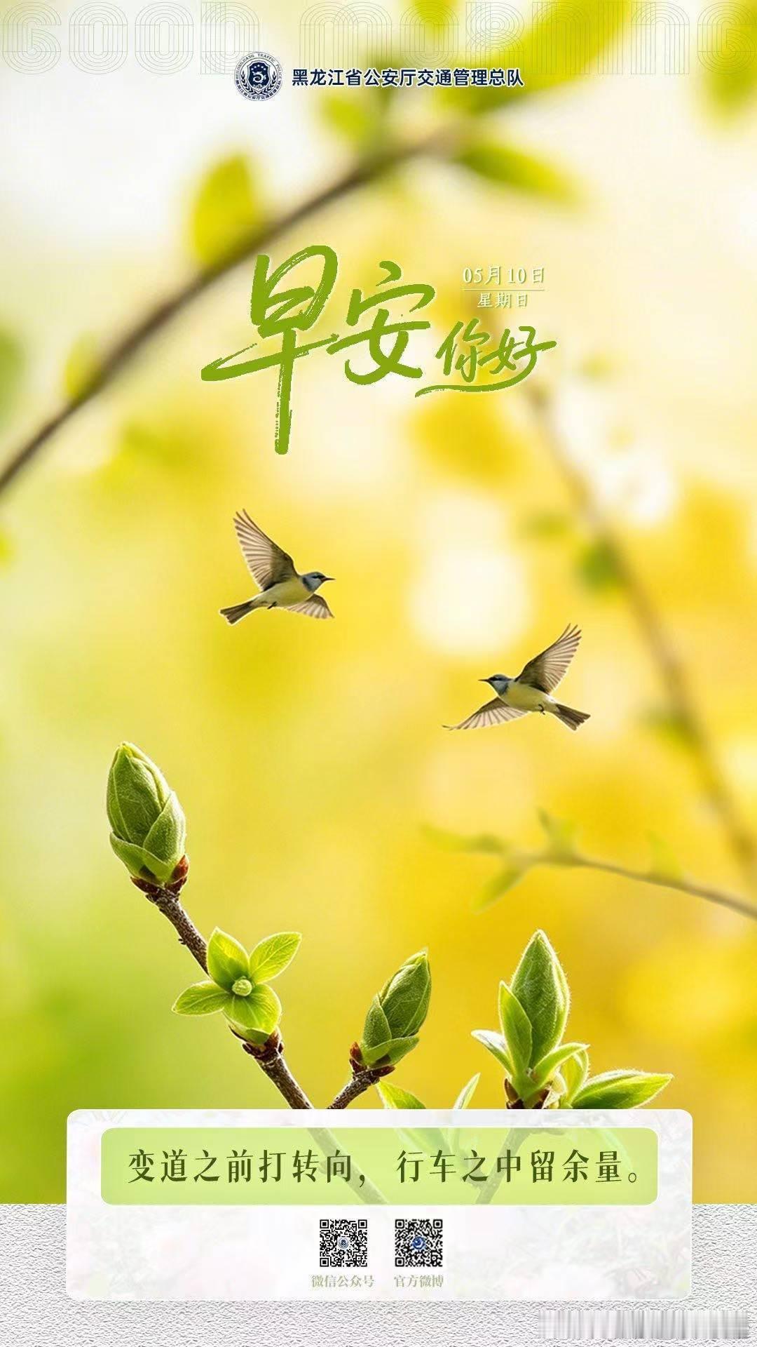 早安 变道之前打转向，行车之中留余量。早安早安心语早安高小黑早安龙江 （