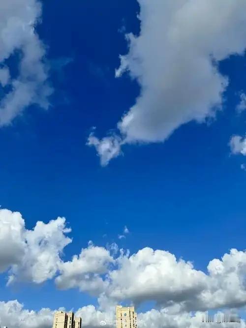 接着我来到了附近的公园，这里有很多人在晨练。老人们悠闲地打着太极，一招一式沉稳而