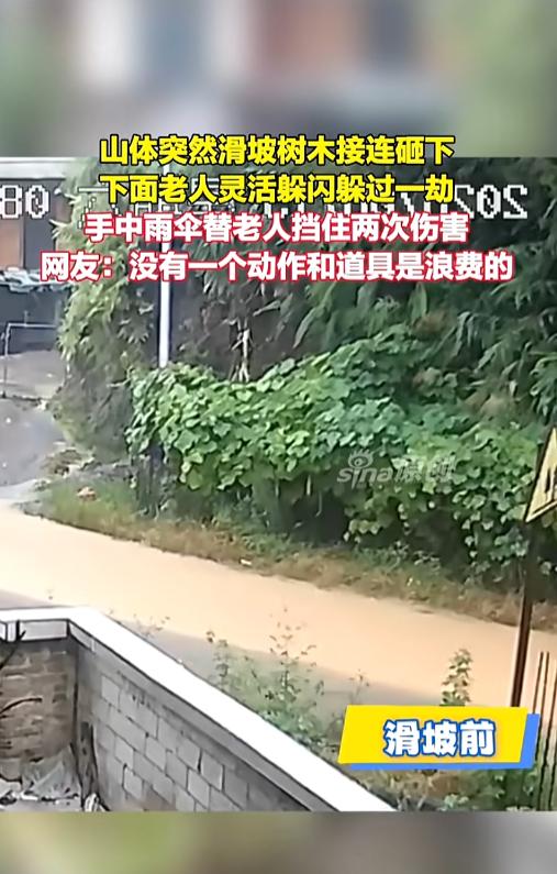 “命真大啊！”8月15日，广西，一位老人打着伞走在路上，突然遇上了滑坡，树木接连