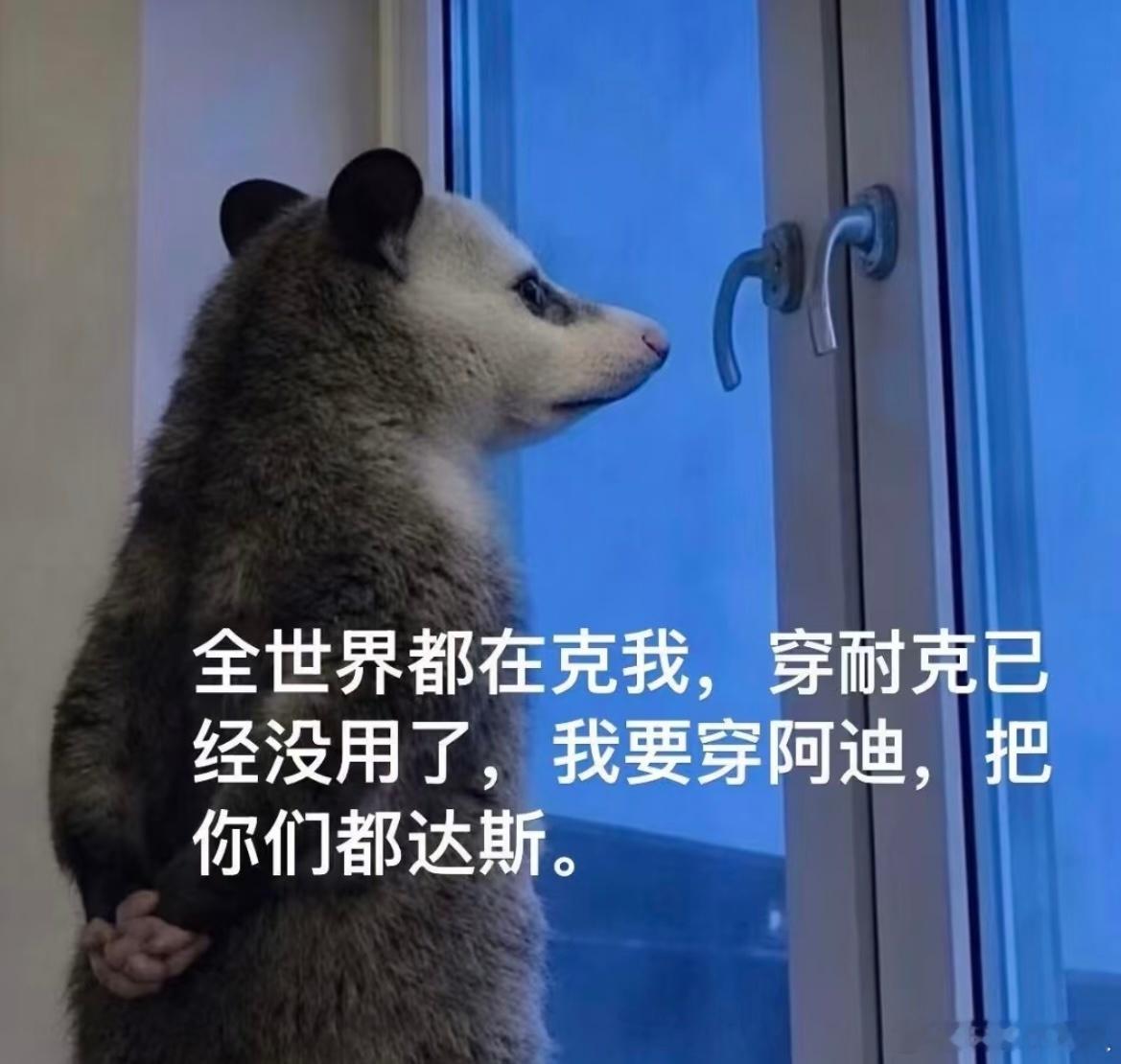 当阿迪逐渐疯魔谐音梗永远能拉近和人的距离 