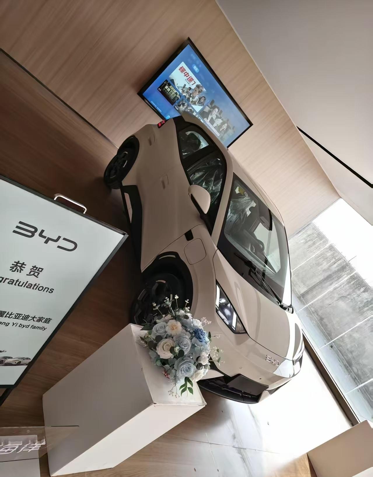 总算是买到车了，哥们攒了三年的钱，好不容易买了辆比亚迪低配海鸥，这下子也算是有车