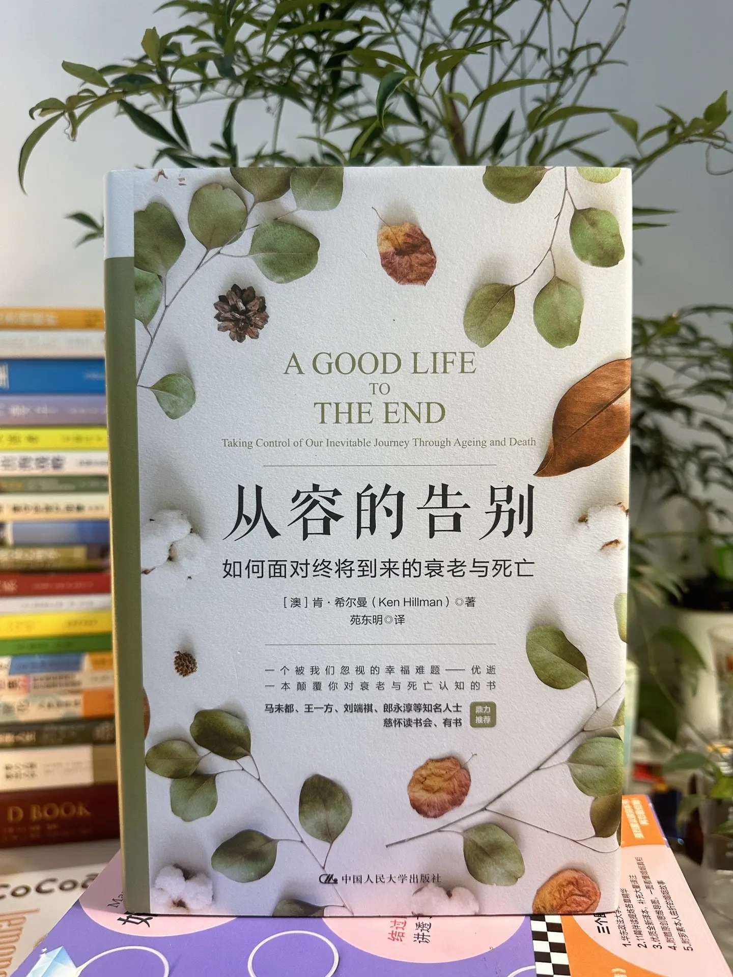 如何面对终将到来的衰老与死亡？