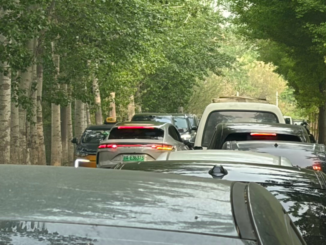 社会上对大聪明开车的惩罚力度还是太小了。 