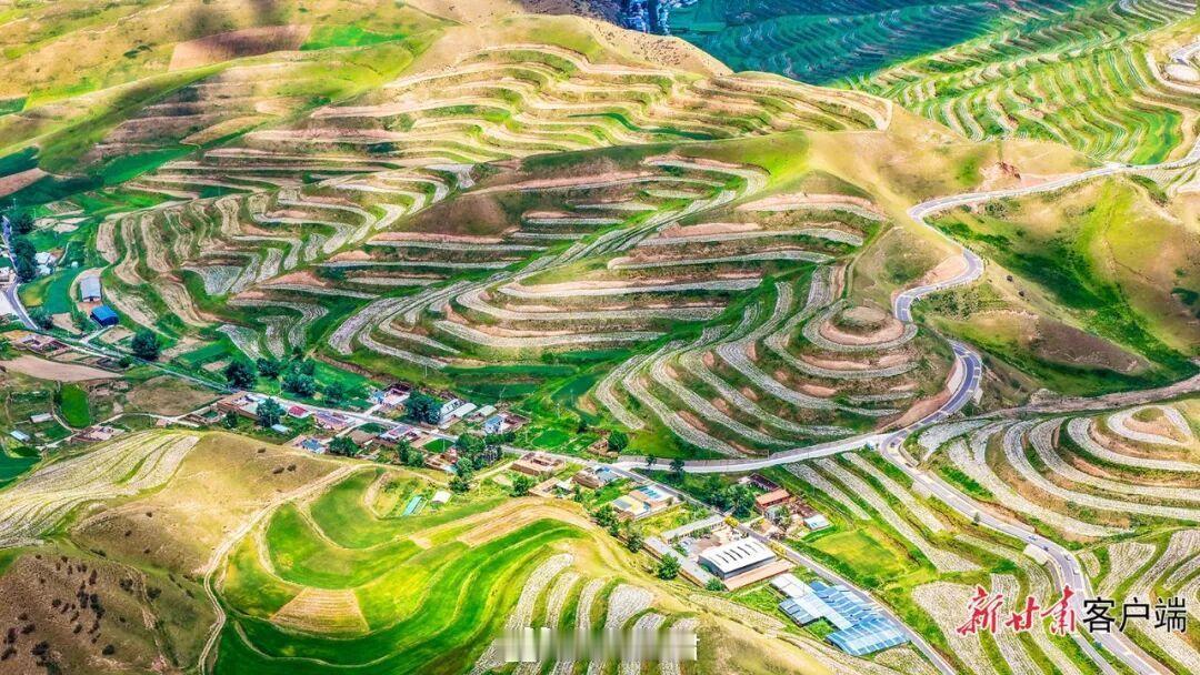 天祝高山梯田绘就盛夏画卷 盛夏时节，天祝县万亩高山梯田依山铺展，各色农作物生机盎