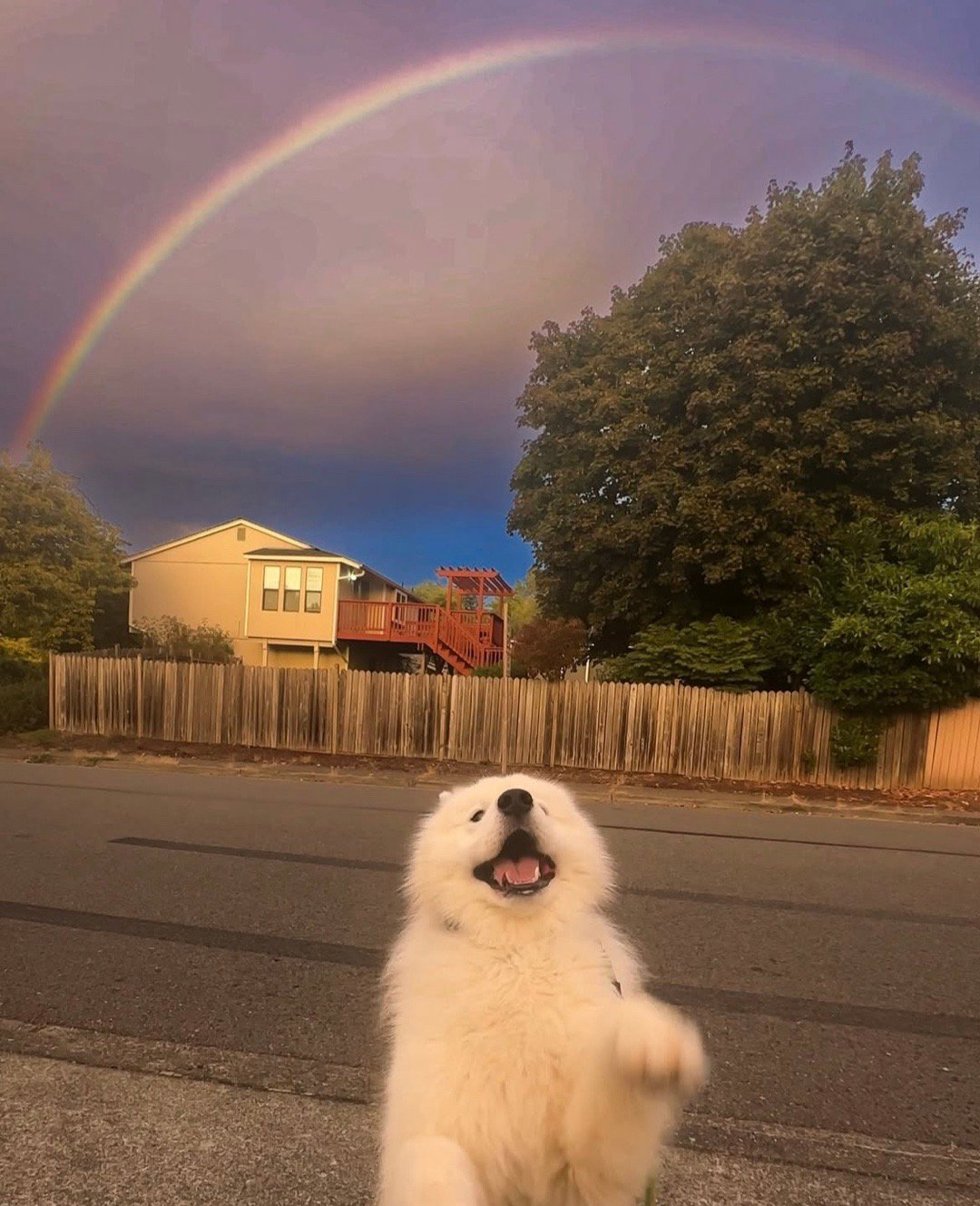 恭喜你刷到了彩虹耶 
