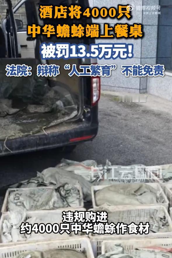 离谱！上海一酒店乱尝鲜，4000只蟾蜍被端上桌翻车被罚。

真的太敢吃了，上海一