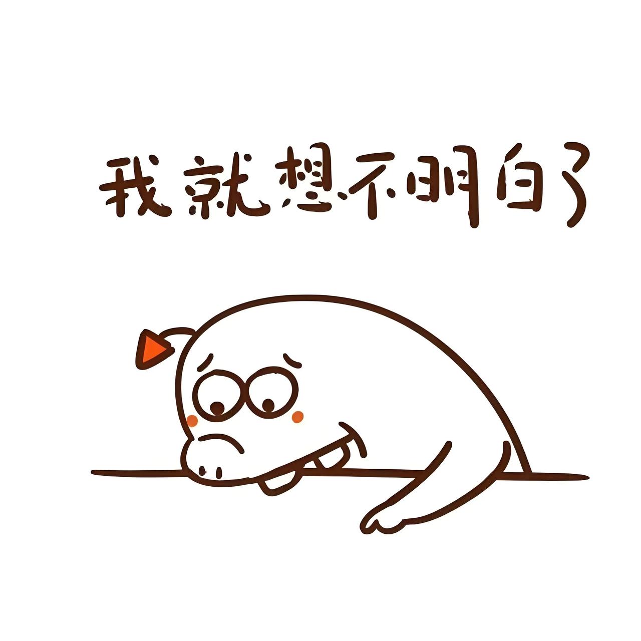 我是离婚的女人，有一个小公寓，不到50平米，有一个包租20年的小商铺12平米。我