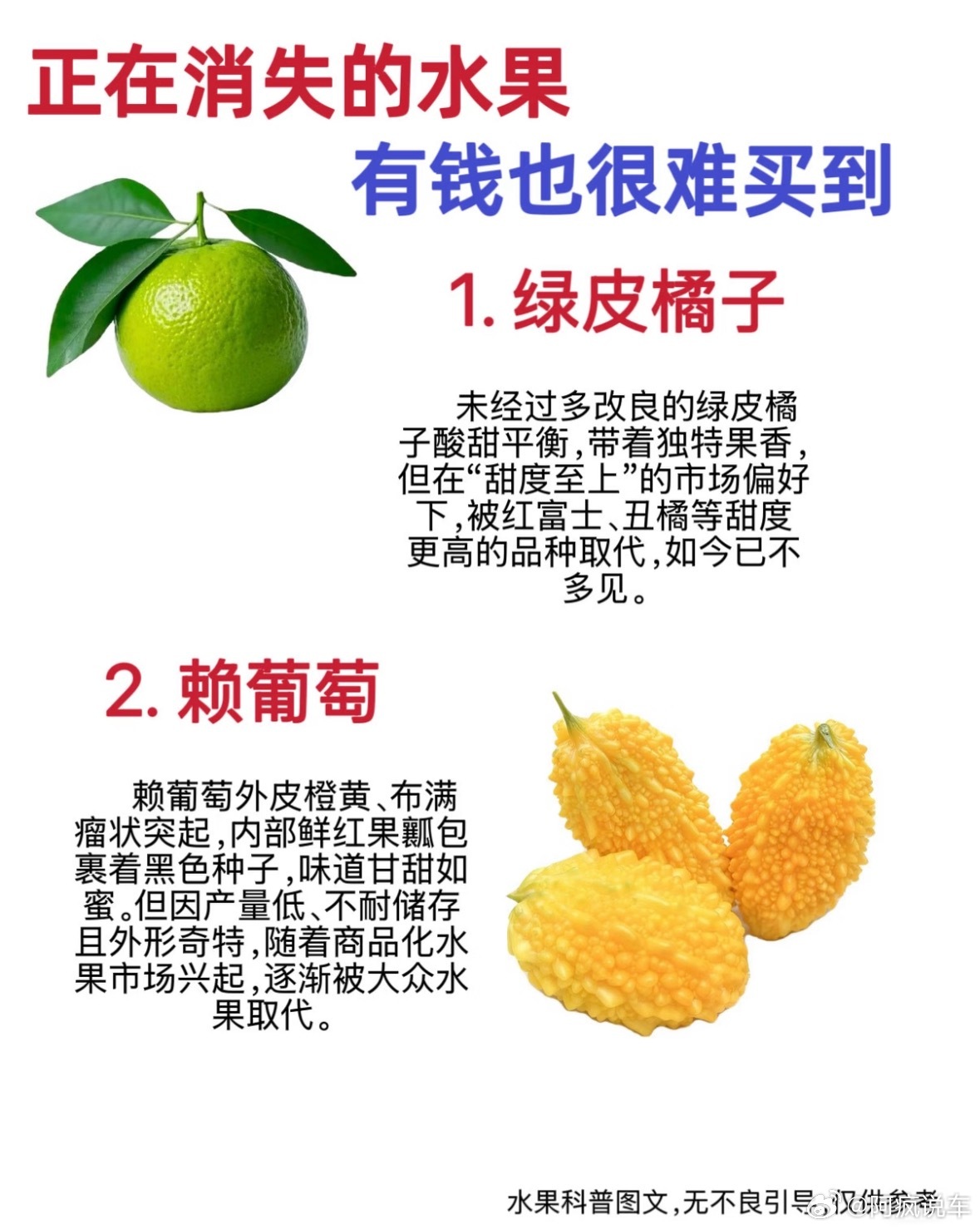 小时候吃的很多水果都慢慢消失了。这个赖葡萄，我还真吃过，我记得小时候，吃这个味道
