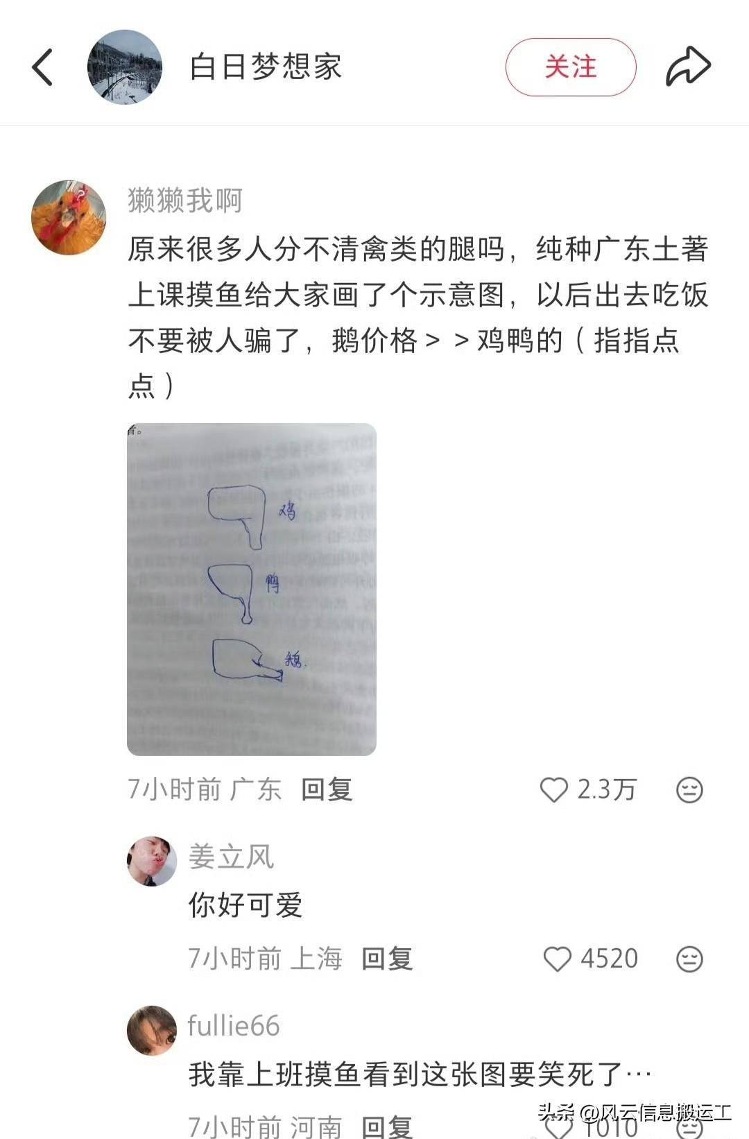 一位广东土著怕网友分不清鸡腿、鸭腿和鹅腿，利用上课摸鱼时间画了一份简易图。