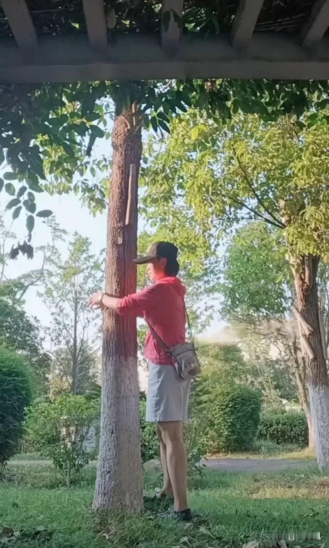 听人说，没事时多抱抱树，能活络气血，吸收天地之灵气。虽然觉得这没啥科学依据，但抱