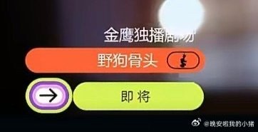 宋威龙张婧仪野狗骨头站内弹窗野狗骨头站内弹窗快来吧！！ 