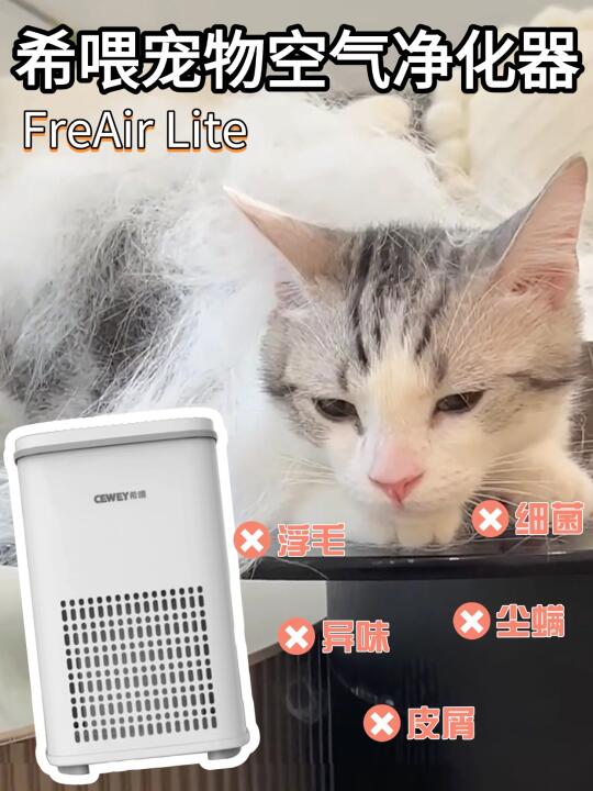 租房党养猫血泪史！这神器让我告别满屋猫毛