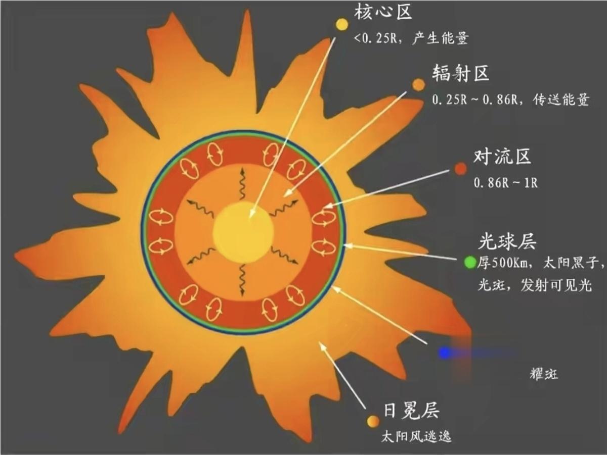太阳是一个巨大的球形星体，其结构可以分为三个主要部分：核心、辐射区和对流区。

