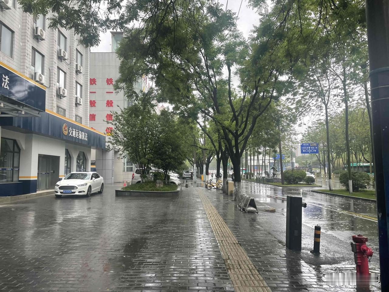 【江城子•絮乱春深芳事阑】
絮乱春深芳事阑，雨绵绵，落屋檐，
瓦上残红，随水荡悠