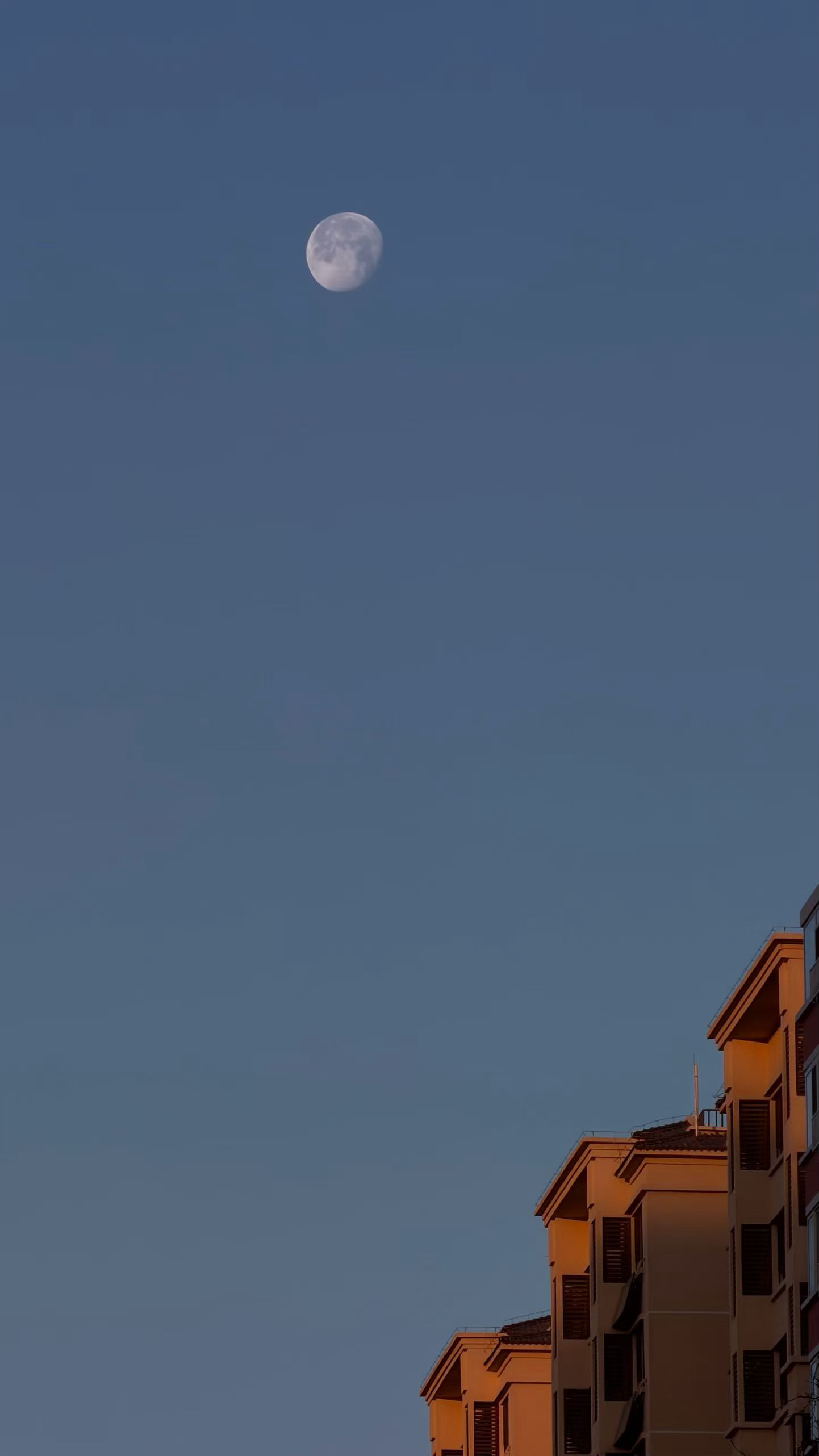 早啊☀️都放假了吗？ 