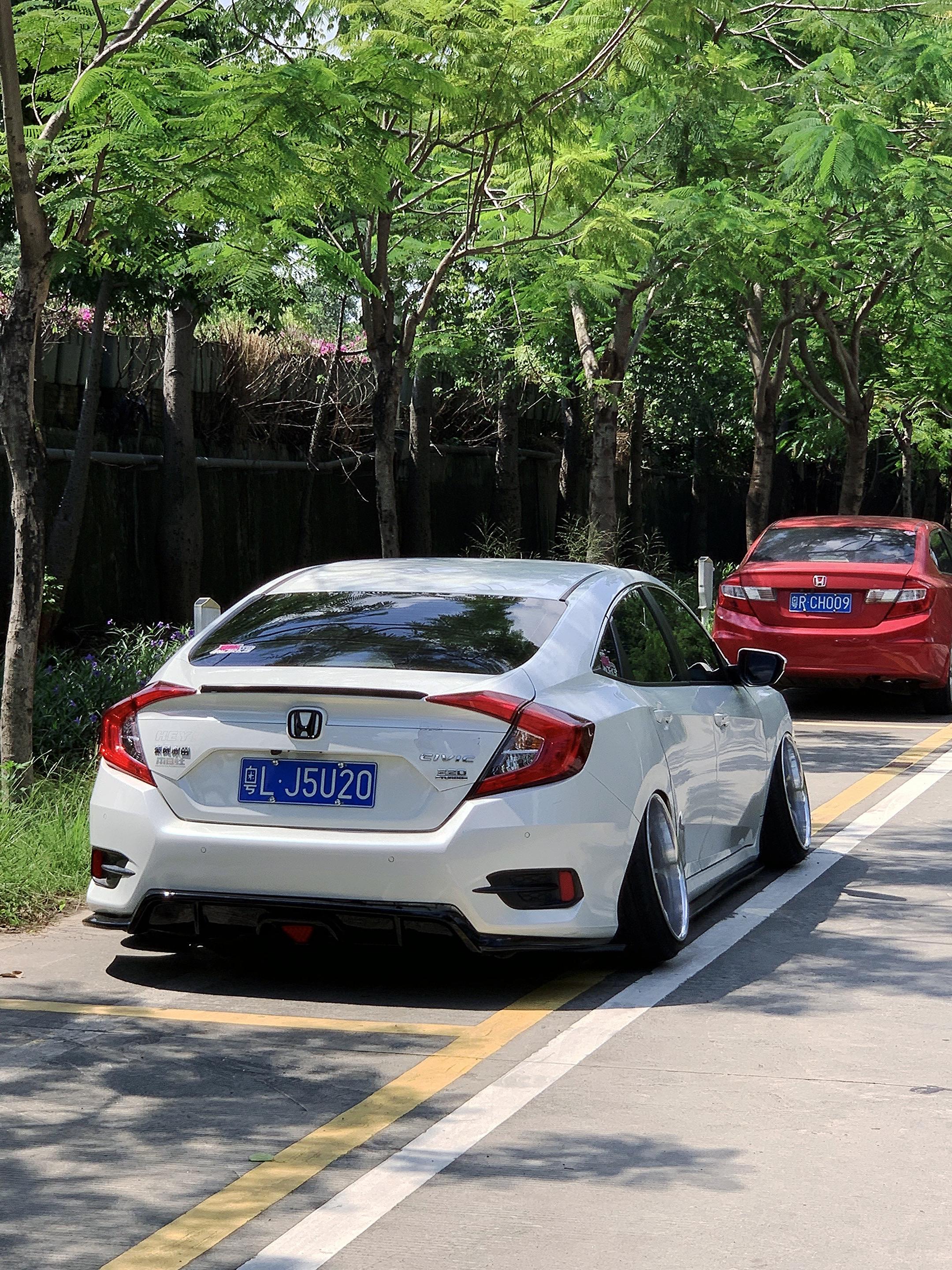 根本不用焦虑，因为条条大路当牛马