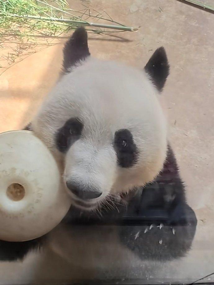香果妹妹太迷人了 ​​​