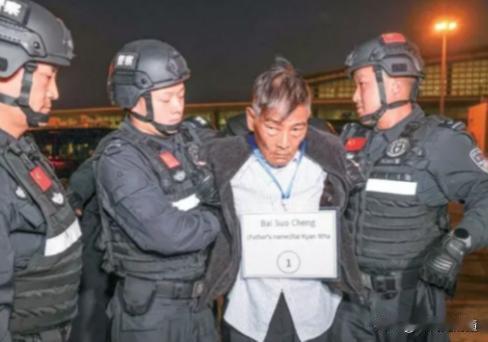 白所成果然被判处死刑！白所成是1950年出生，已经过了75周岁。在国内的法律当中