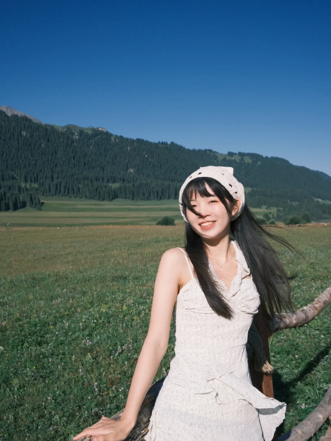 已查收新疆伊犁的去“师味”成果