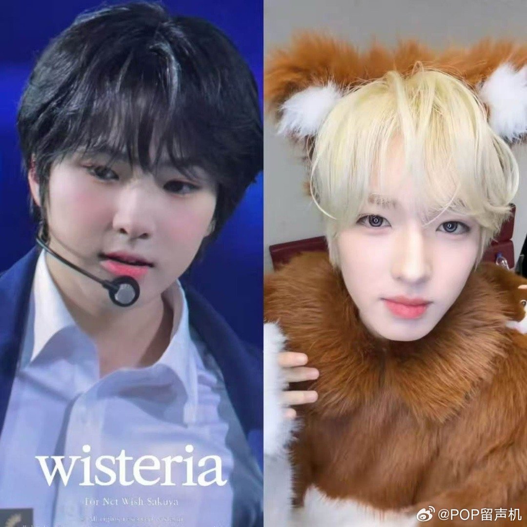 求sakuya的瘦脸教程 